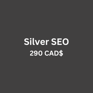 Silver Seo